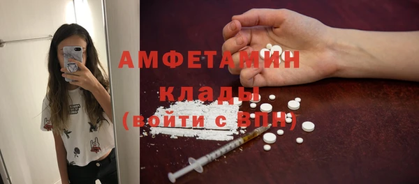 ПСИЛОЦИБИНОВЫЕ ГРИБЫ Алзамай