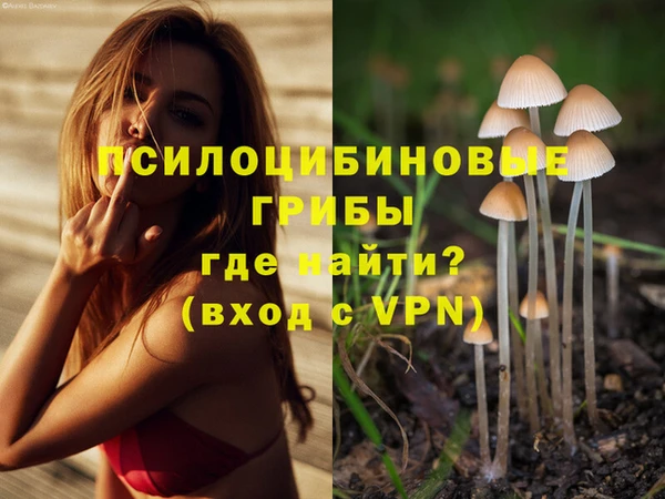 дурь Алексеевка