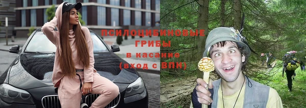 дурь Алексеевка