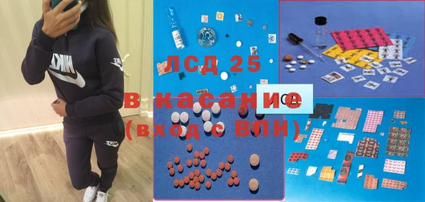 ПСИЛОЦИБИНОВЫЕ ГРИБЫ Алзамай